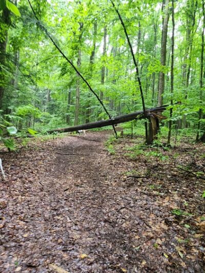 Whiskey Hollow Nature Preserve - Memphis, NY