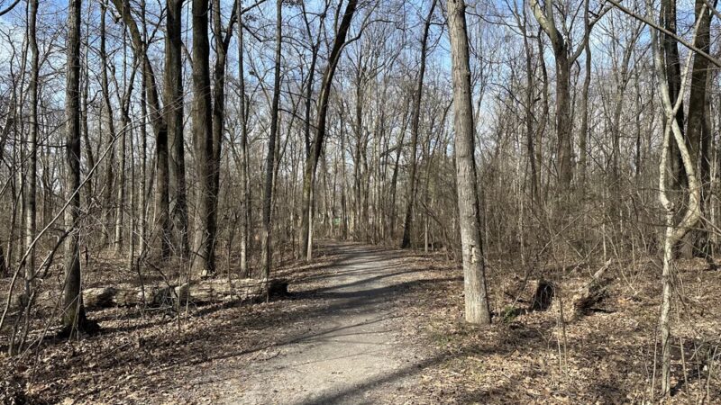 Holmes Park - Memphis, TN