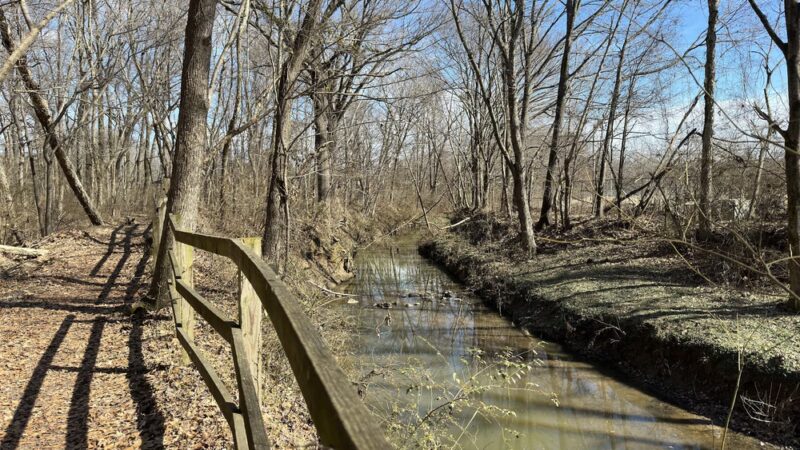 Holmes Park - Memphis, TN