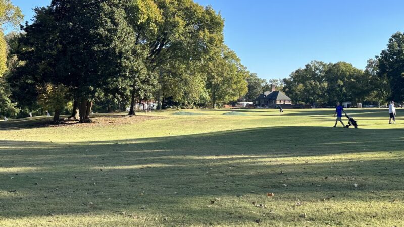 Overton Park - Memphis, TN