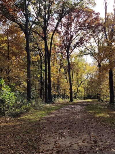 Wolf River Greenway - Kennedy Park - Memphis, TN