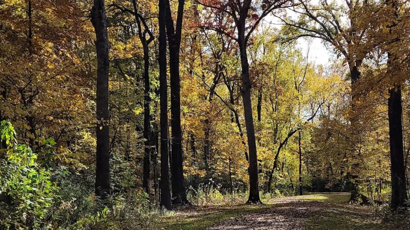 Wolf River Greenway - Kennedy Park - Memphis, TN
