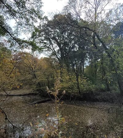 Wolf River Greenway - Kennedy Park - Memphis, TN