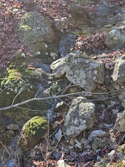 Buckeye trail - Mena, AR