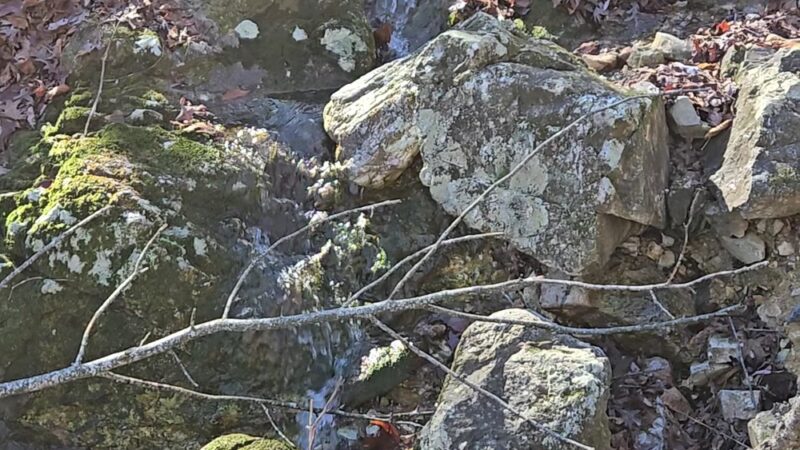 Buckeye trail - Mena, AR