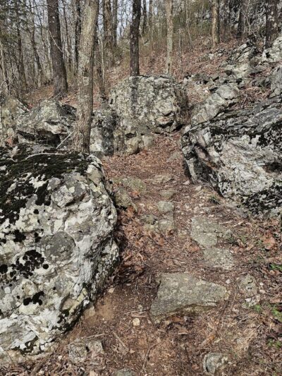 Buckeye trail - Mena, AR