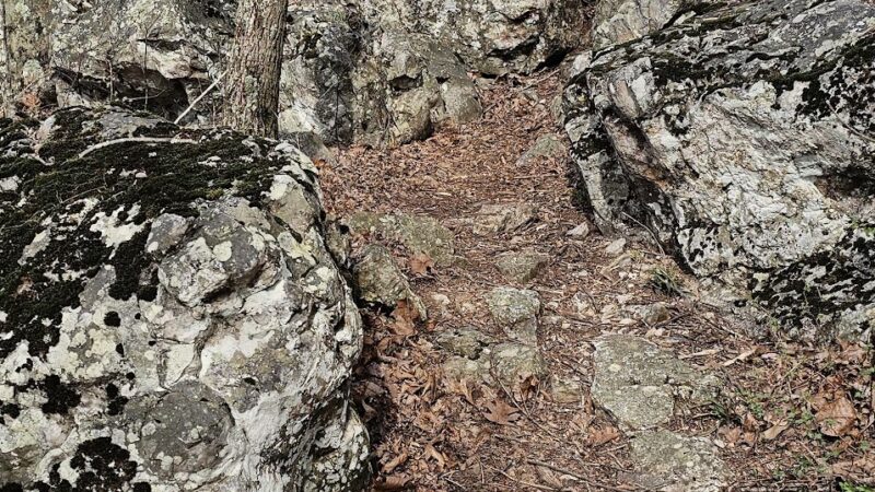 Buckeye trail - Mena, AR