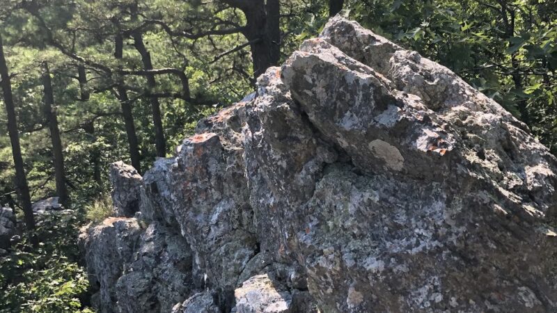 Buckeye trail - Mena, AR