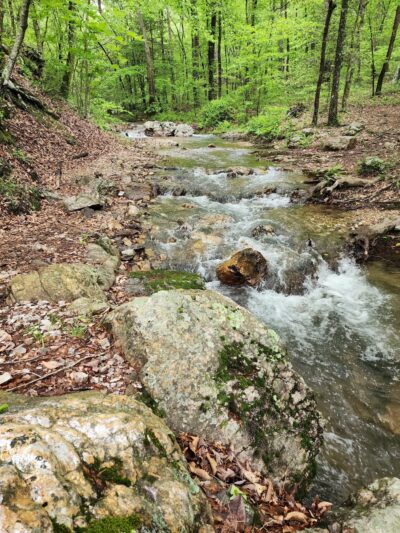 Buckeye trail - Mena, AR