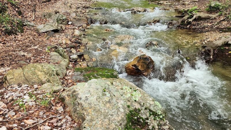 Buckeye trail - Mena, AR