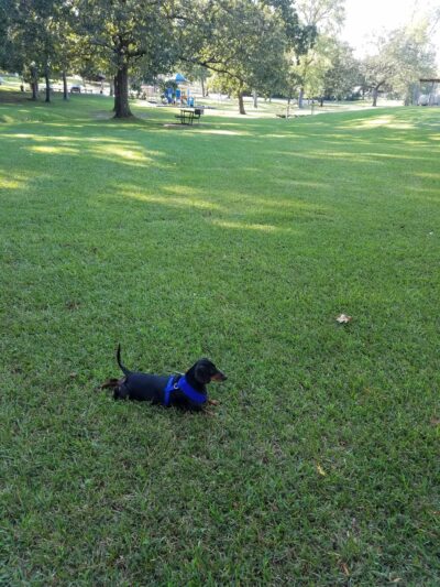 McMillan Park Play Ground - Mena, AR