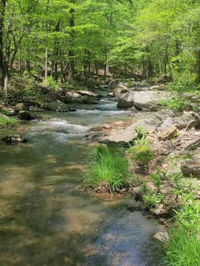 Shady Lake Recreation Area - Mena, AR