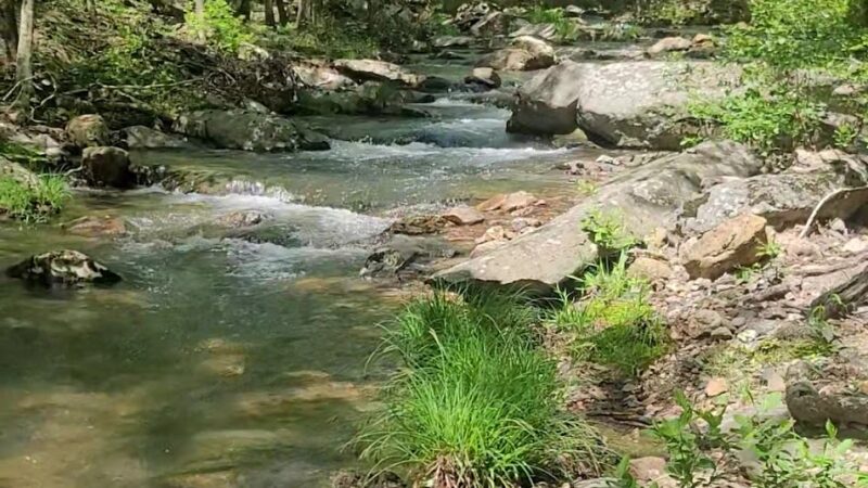 Shady Lake Recreation Area - Mena, AR