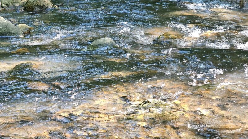 Shady Lake Recreation Area - Mena, AR