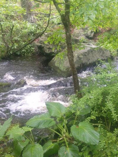 Cormier Woods - Mendon, MA