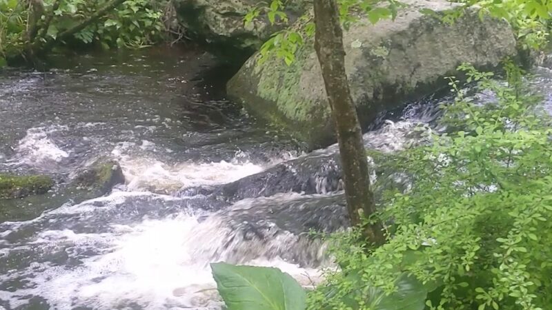 Cormier Woods - Mendon, MA