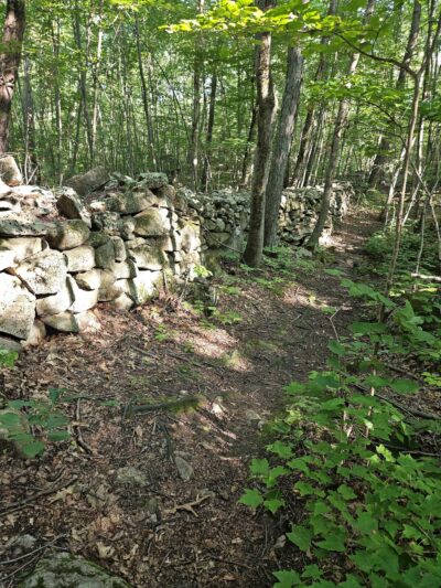 Mendon Town Forest Parking - Mendon, MA