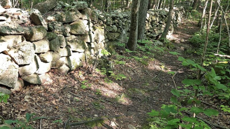 Mendon Town Forest Parking - Mendon, MA