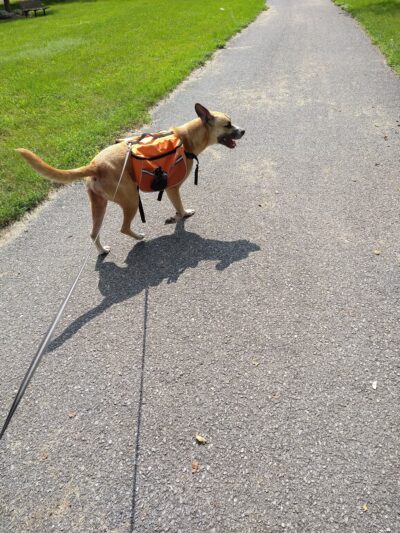 Mendon Station Park - Mendon, NY