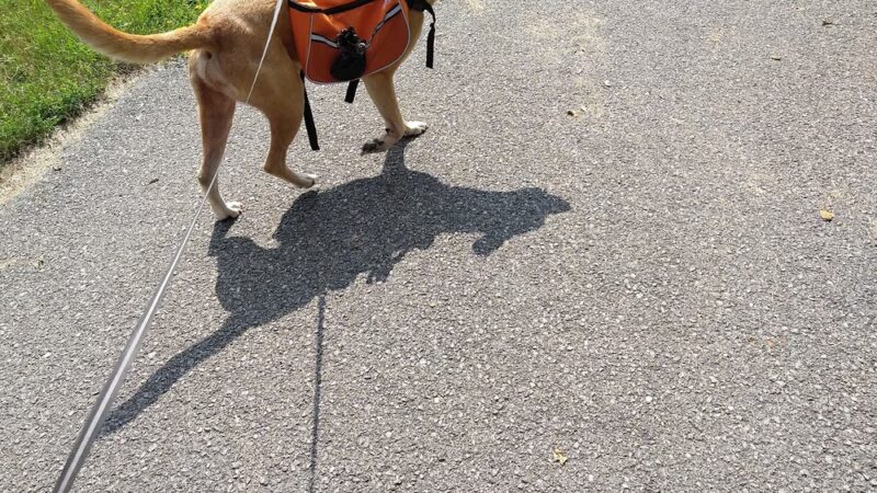 Mendon Station Park - Mendon, NY