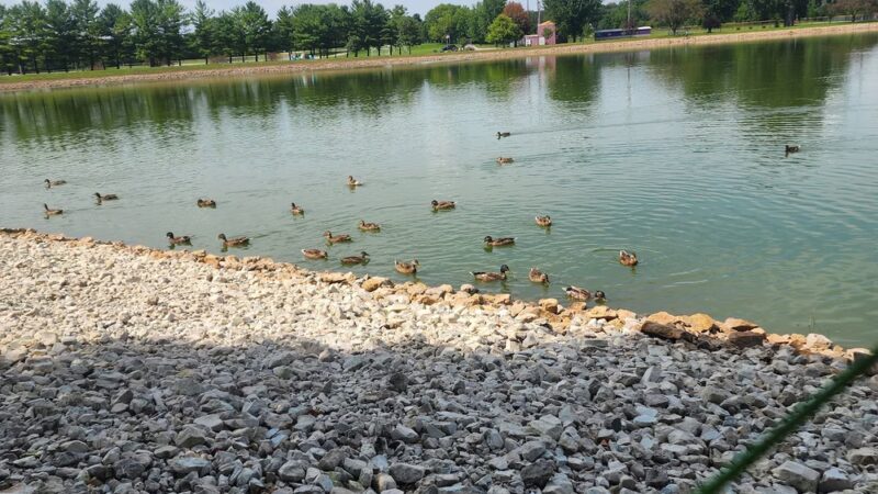 Mendota Lake Park - Mendota, IL