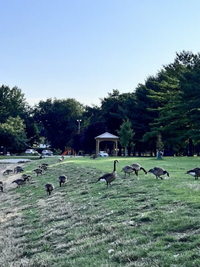 Mendota Lake Park - Mendota, IL