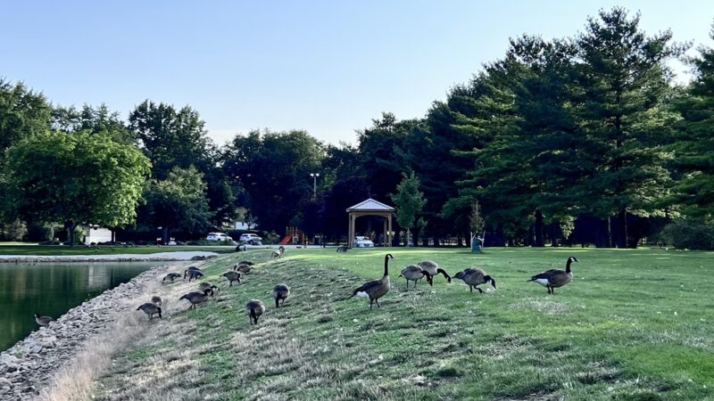 Mendota Lake Park - Mendota, IL
