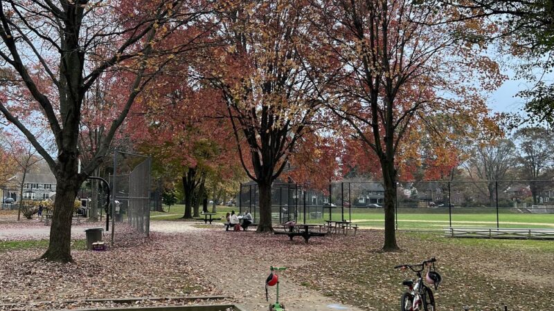 General Wayne Park Playground - Merion Station, PA
