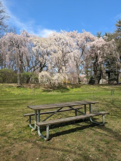 General Wayne Park Playground - Merion Station, PA