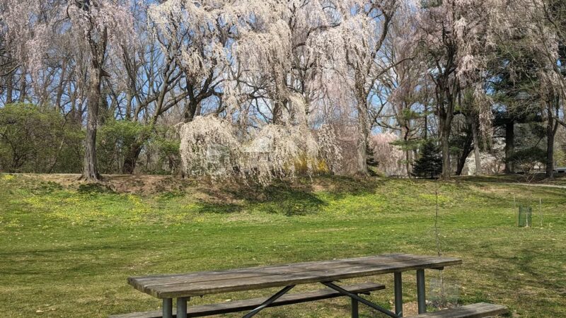 General Wayne Park Playground - Merion Station, PA
