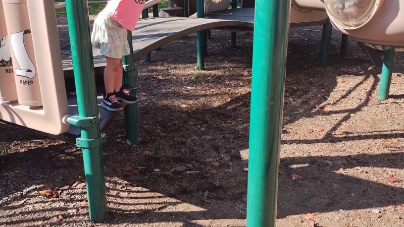 General Wayne Park Playground - Merion Station, PA