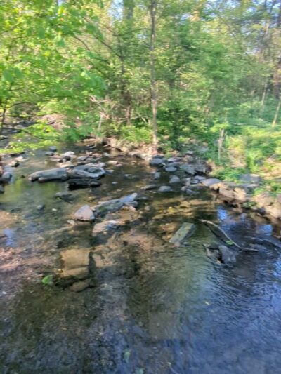 Merion Botanical Park - Merion Station, PA