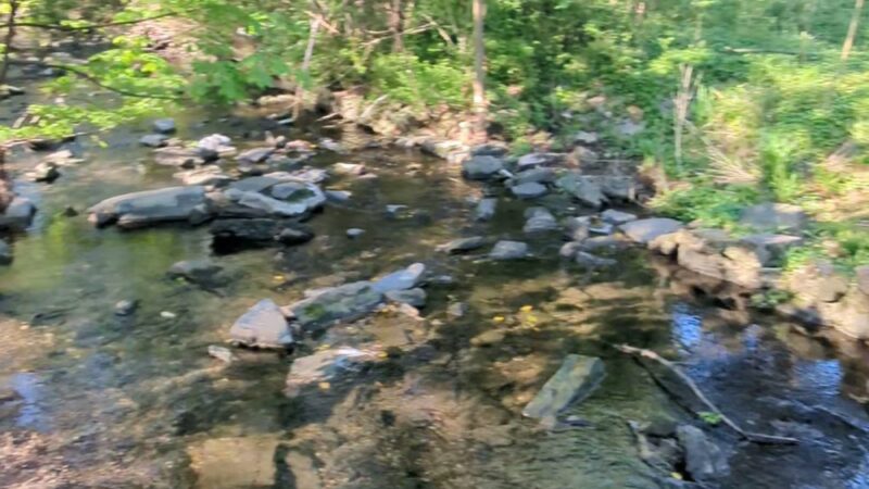 Merion Botanical Park - Merion Station, PA