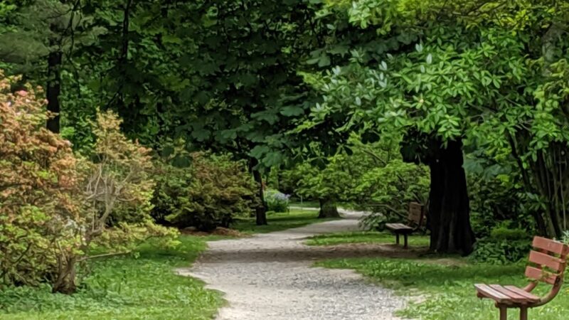 Merion Botanical Park - Merion Station, PA