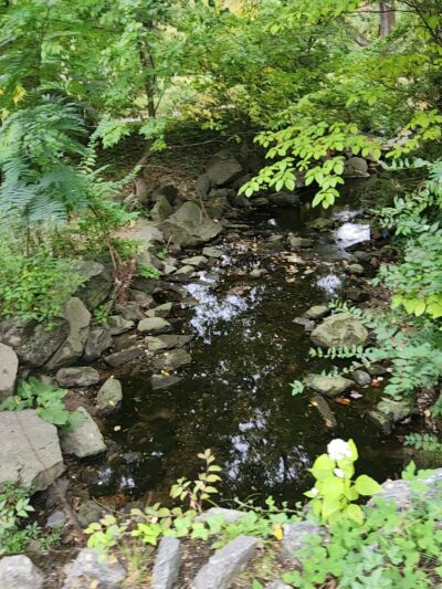 Merion Botanical Park - Merion Station, PA