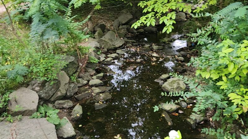 Merion Botanical Park - Merion Station, PA