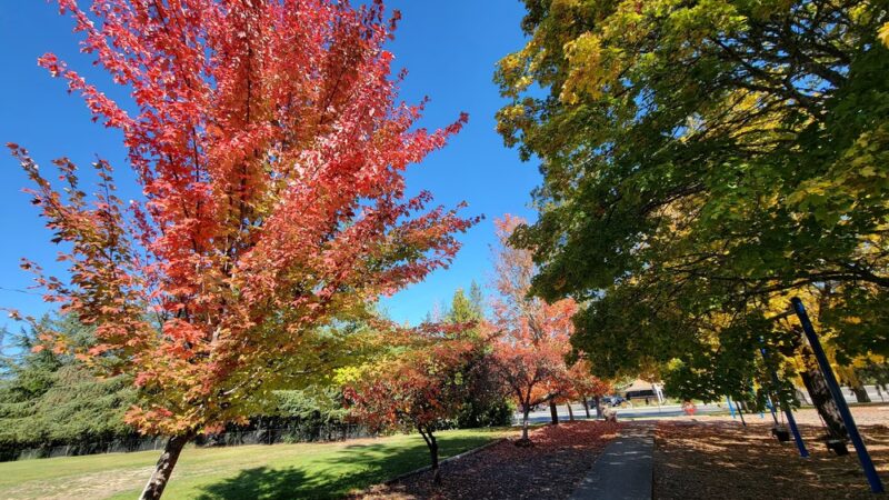 Merlin Community Park - Merlin, OR