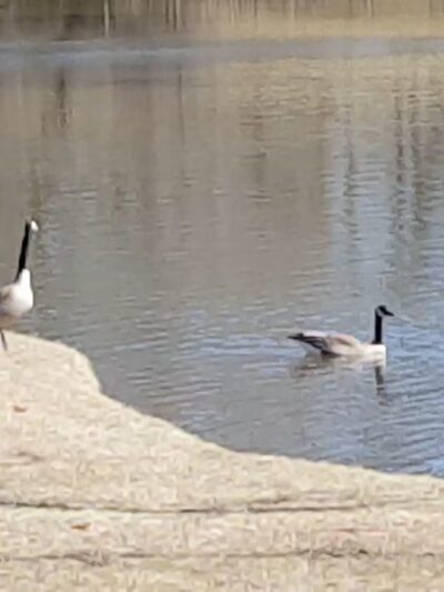 Hidden Lake Park - Merrillville, IN