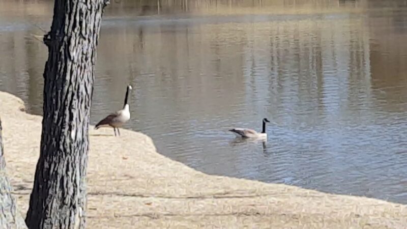 Hidden Lake Park - Merrillville, IN