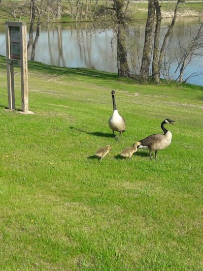Hidden Lake Park - Merrillville, IN