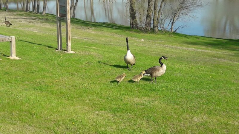 Hidden Lake Park - Merrillville, IN