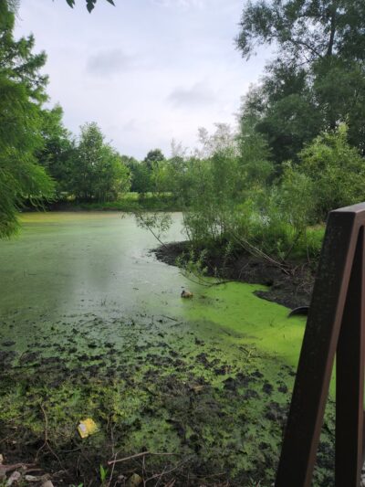 Lake County Parks - Merrillville, IN