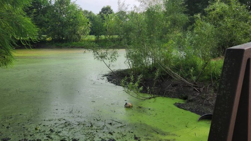 Lake County Parks - Merrillville, IN