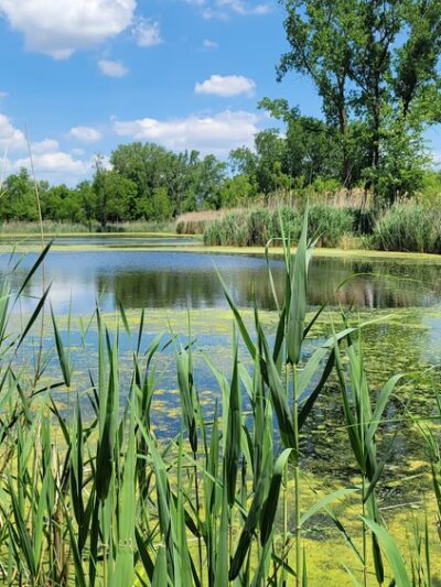 Rosenbalm Park - Merrillville, IN