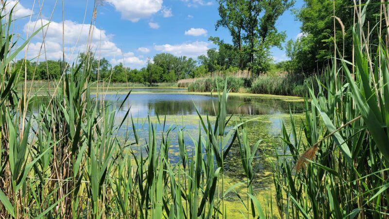 Rosenbalm Park - Merrillville, IN