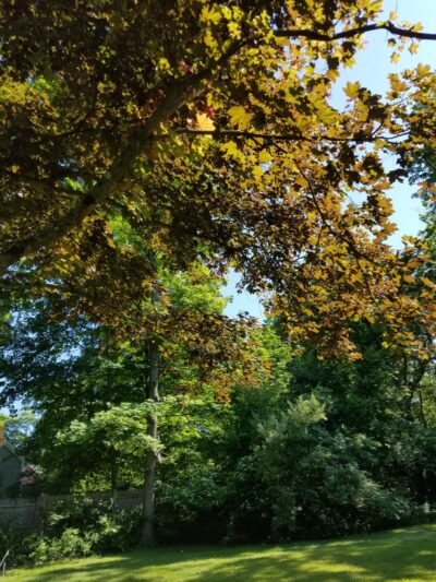 Merrimac - Merrimac, MA