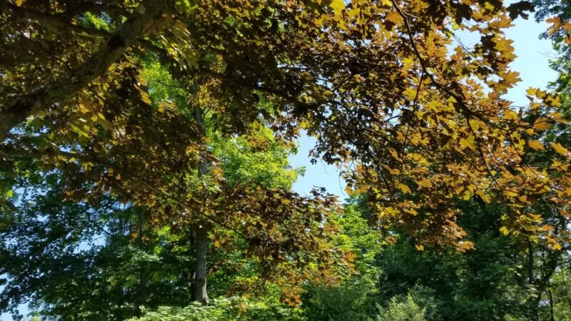 Merrimac - Merrimac, MA