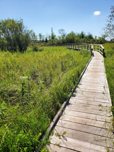 Ice Age Trail - Merrimac Segment - Merrimac, WI