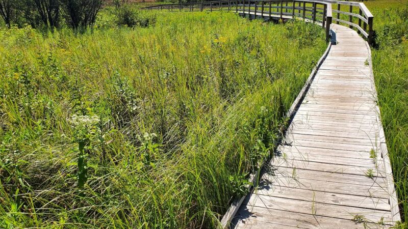 Ice Age Trail - Merrimac Segment - Merrimac, WI