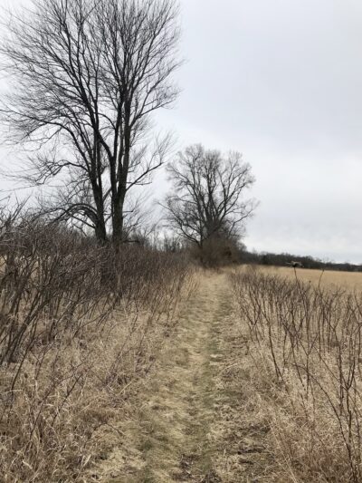 Ice Age Trail - Merrimac Segment - Merrimac, WI